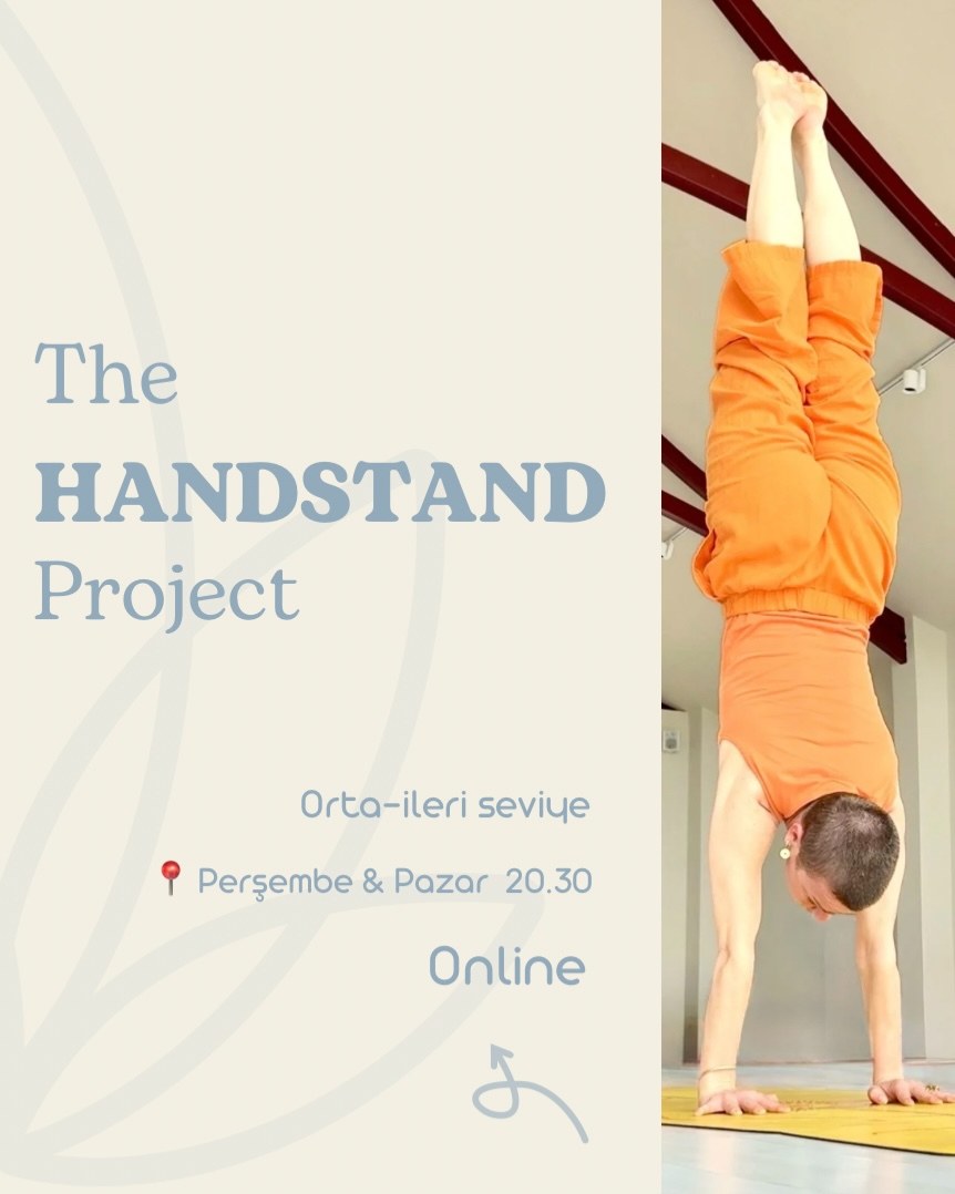 The Handstand Project